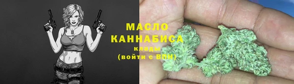 гидра Арсеньев