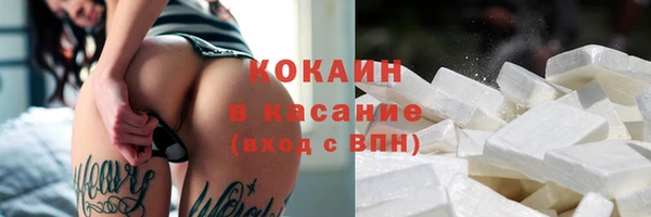 прущие грибы Дедовск