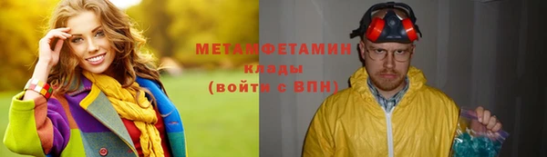 прущие грибы Дедовск