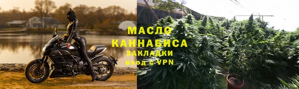 гидра Арсеньев