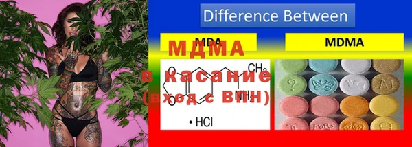 гидра Арсеньев