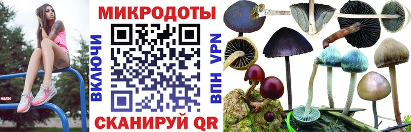 Псилоцибиновые грибы Cubensis  Белинский 